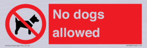No dogs allowed